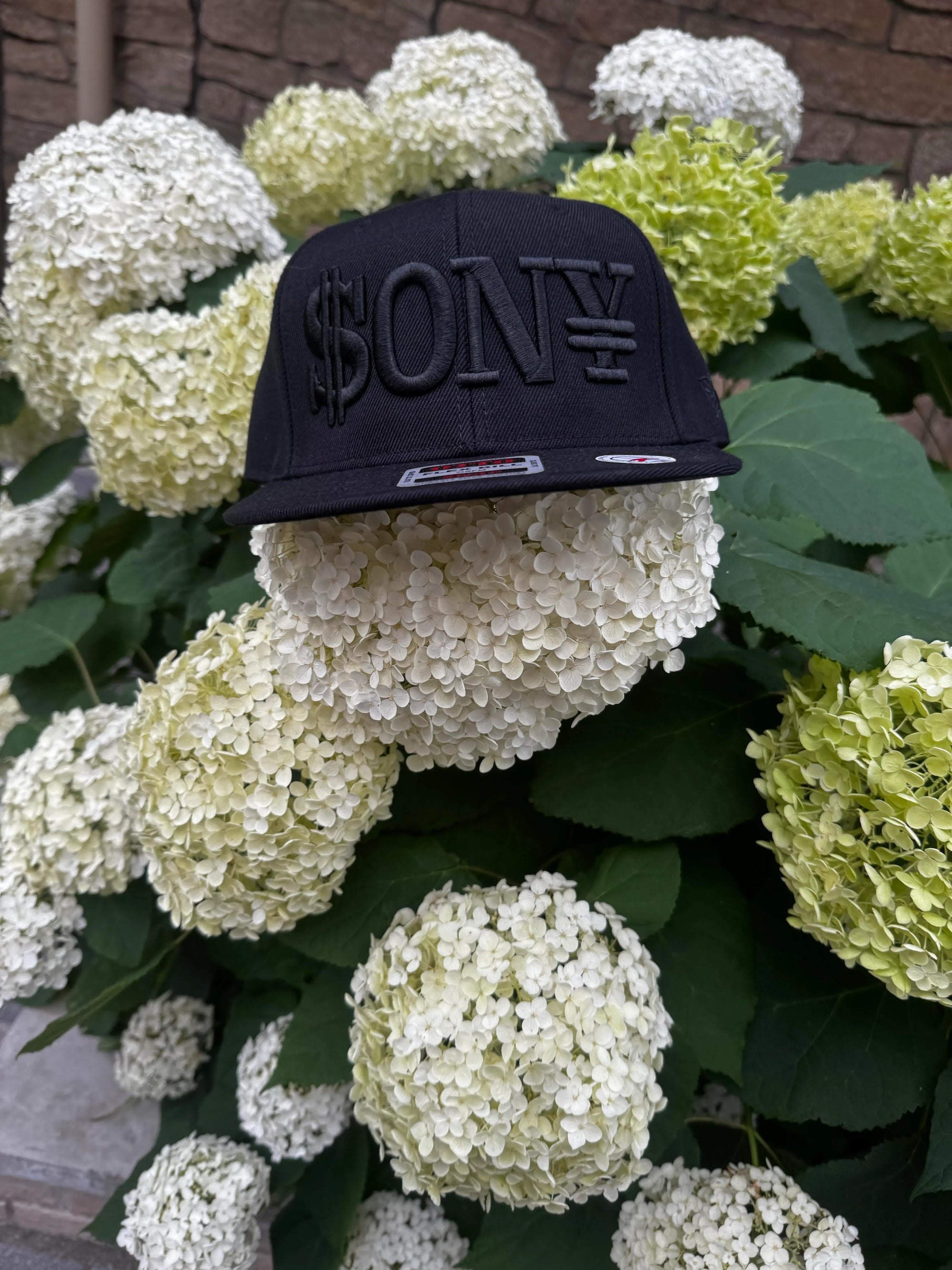 DOLONYEN ファーストピッチ ベースボールキャップ BLACK× BLACK