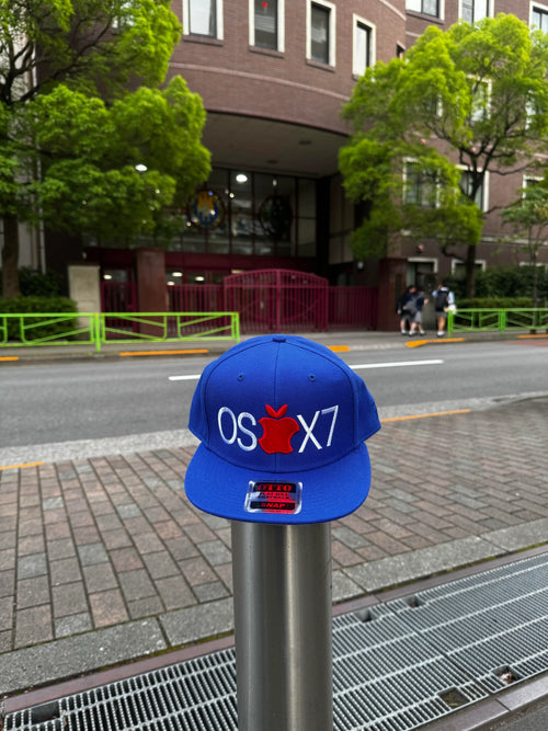 DOLONYEN OSX7 二刀流 ベースボール キャップ